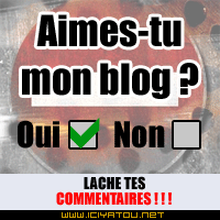 Aimes-tu notre blog ???